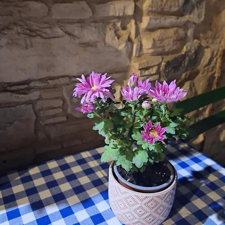 Eleni's Appartement *