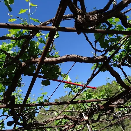 Eleni's Appartement *