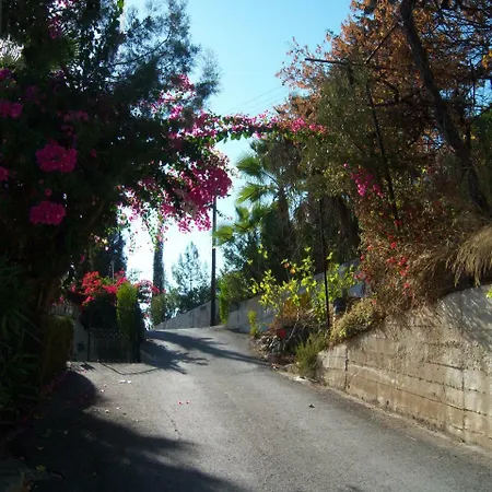 Eleni's Appartement *